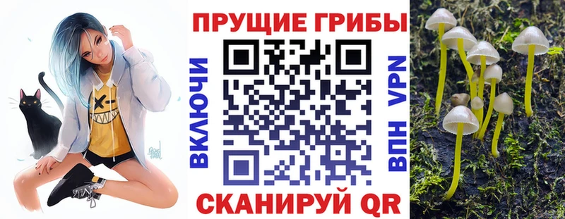 Галлюциногенные грибы прущие грибы  закладка  Котельнич 